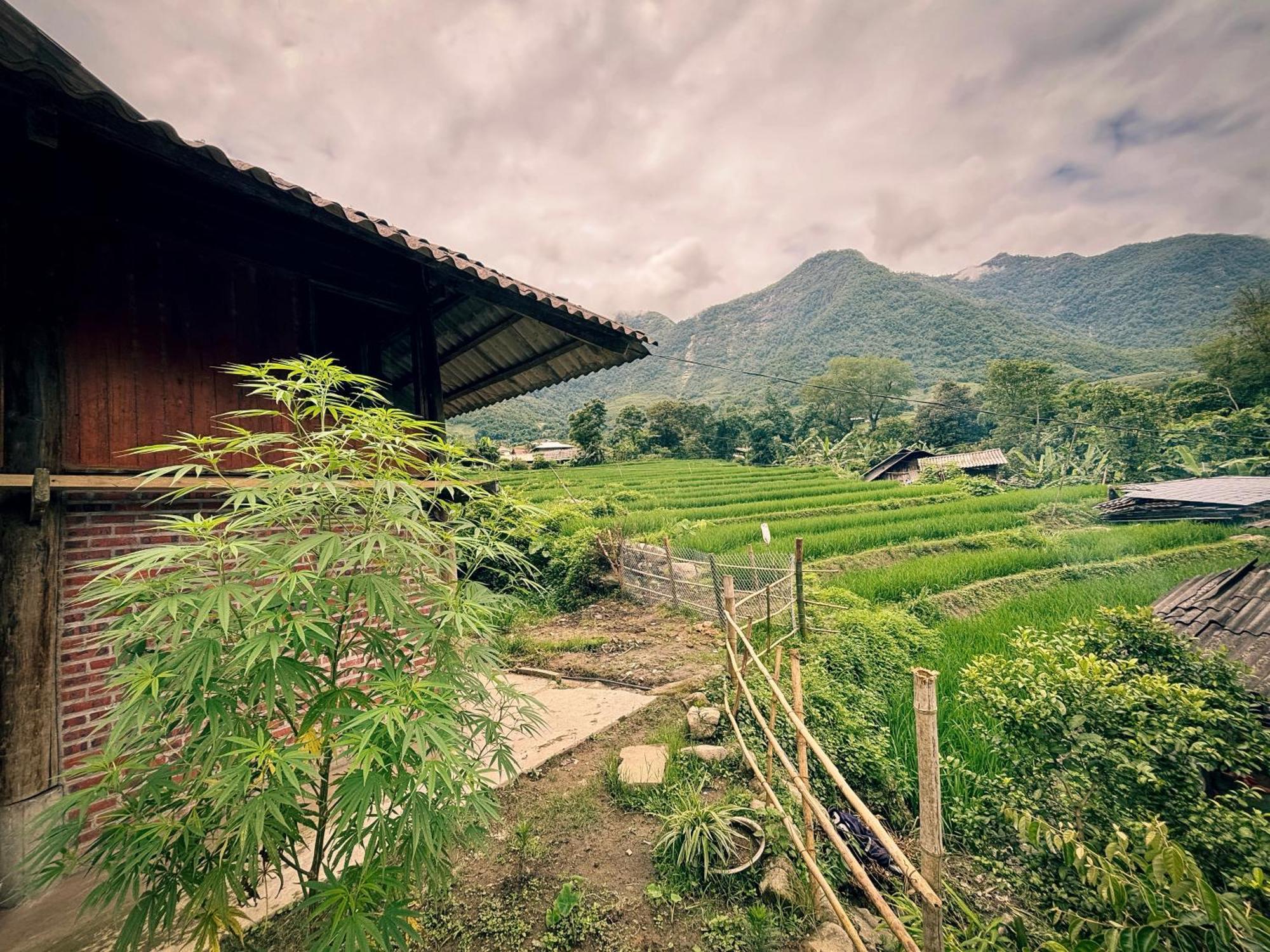 Sapa Tranquilla Apartment Exterior photo